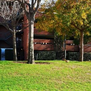 Meet your Posher, Chu